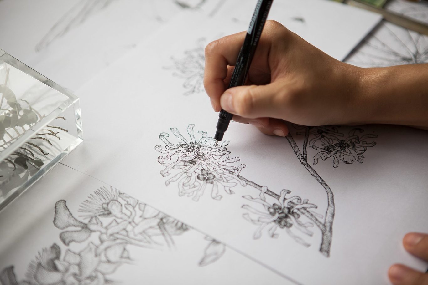 A hand drawing floral sketches on white paper with a pen.