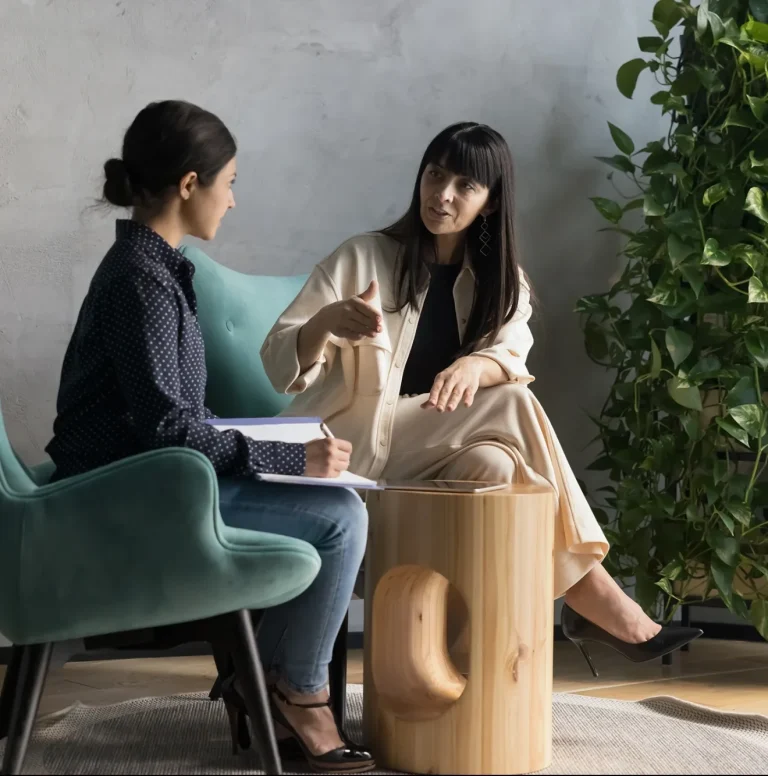 Two women engaged in conversation, seated on armchairs, with a potted plant in the background.