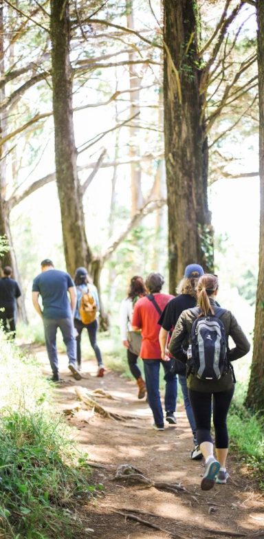A group of people walking along a forest trail surrounded by tall trees.